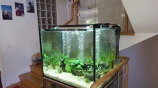 akvarij izdelan po narocilu akvarij izdelan po narocilu