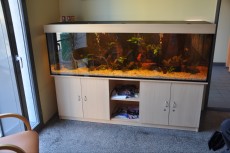 fish tank 720l