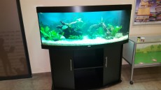 juwel vision 450 juwel vision 450