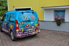 BERLINGO BERLINGO