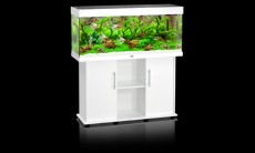 juwel rio 240 bel juwel rio 240 bel