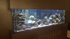 morski biotop morski biotop