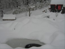zima in ribnik zima in ribnik