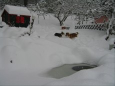 zimska pravljica zimska pravljica