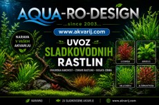 AQUA-RO-DESIGN SLADKOVODNE RASTLINE