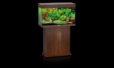 JUWEL RIO 125 HRAST JUWEL RIO 125 HRAST