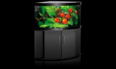 akvarij juwel trigon 350 crn akvarij juwel trigon 350 crn