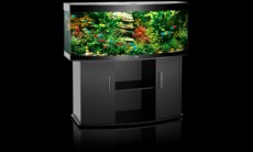 akvarij juwel vision 450 crn akvarij juwel vision 450 crn