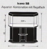 icana 229930 icana 229930
