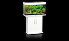 juwel rio 125 bel juwel rio 125 bel