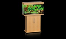 juwel rio 125 bukev juwel rio 125 bukev