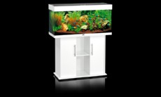 juwel rio 180 bel juwel rio 180 bel