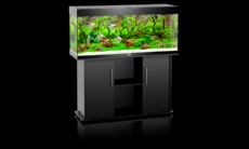 juwel rio 240 crn juwel rio 240 crn