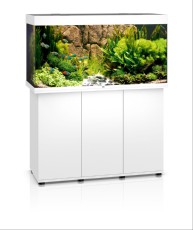 juwel rio 300 bel juwel rio 300 bel