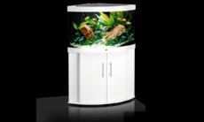 juwel trigon 190 bel juwel trigon 190 bel