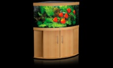 juwel trigon 350 bukev juwel trigon 350 bukev