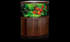 juwel trigon 350 hrast juwel trigon 350 hrast