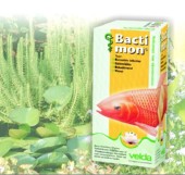 Velda - Bactimon - zdravilo proti bakterijam Velda - Bactimon - zdravilo proti bakterijam