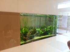 MISTER AQUARIUM - 2014 ZOBOZDRAVNICA MISTER AQUARIUM - 2014 ZOBOZDRAVNICA