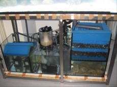 MORSKI AKVARIJ OBLIKE L 1400L  1 filter za morski akvarij -domace izvedbe