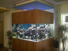 MORSKI AKVARIJ OBLIKE L 1400L  AQUA-RO-DESIGN kotni morski akvarij