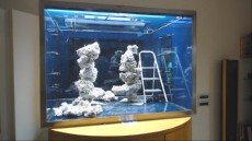 MORSKI AKVARIJ - 10000L AQUA-RO-DESIGN izdelava morskega akvarija