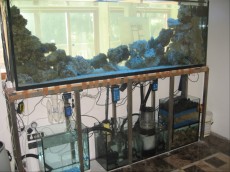 MORSKI AKVARIJ - 1346L  2 filter morskega akvarija pod akvarijem
