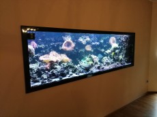 MORSKI AKVARIJ - 2023L   AQUA-RO-DESIGN morski akvarij