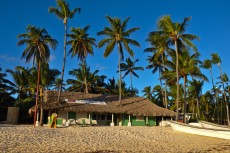 DOMINIKANSKA REPUBLIKA palme ob plazi
