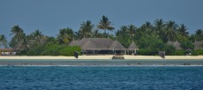 MALDIVI beach