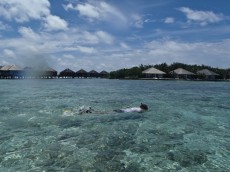 MALDIVI snorkljanje