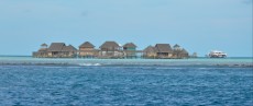 MALDIVI valovi