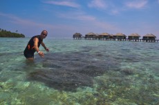 MALDIVI velika korala