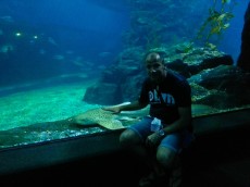 TAJSKA - 2015 sea life aquarium Bangkok
