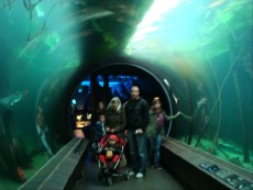 AVSTRIJA akvarijski tunel