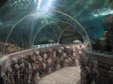 ITALIJA LIGNANO tunel akvarij