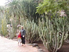 KANARSKI OTOKI BLOG - 2004 veliki kaktusi