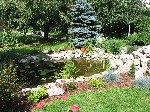 IMG 1069 IMG 1069