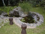 P1010012 P1010012
