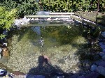 P1010147 P1010147