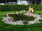 teich - pond - bajer teich - pond - bajer