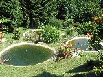 MISTER VODNI VRT - 3 MESTO -GAMS PRIMOZ MISTER VODNI VRT - 3 MESTO -GAMS PRIMOZ