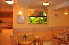 JADRAN - morski organizmi akvarij v restavraciji