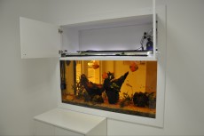 JADRAN - morski organizmi turisticna agencija