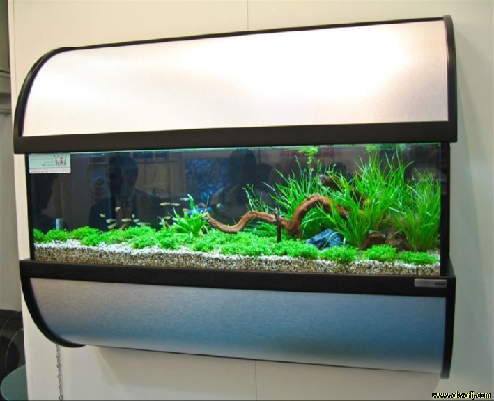 SLADKOVODEN AKVARIJ - domac prostor  WALL AQUARIUM