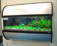 SLADKOVODEN AKVARIJ - domac prostor  WALL AQUARIUM