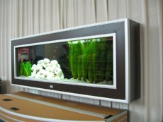 SLADKOVODEN AKVARIJ - domac prostor  WAND AQUARIUM