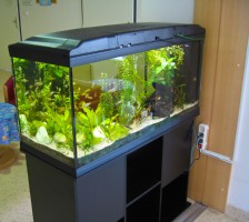 SLADKOVODEN AKVARIJ - javni prostor  akvarij v domu upokojencev