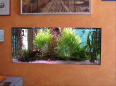 SLADKOVODEN AKVARIJ - razni akvarij - 300l z co2 napravo