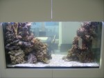 aquarium seawater